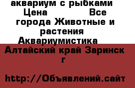 аквариум с рыбками › Цена ­ 15 000 - Все города Животные и растения » Аквариумистика   . Алтайский край,Заринск г.